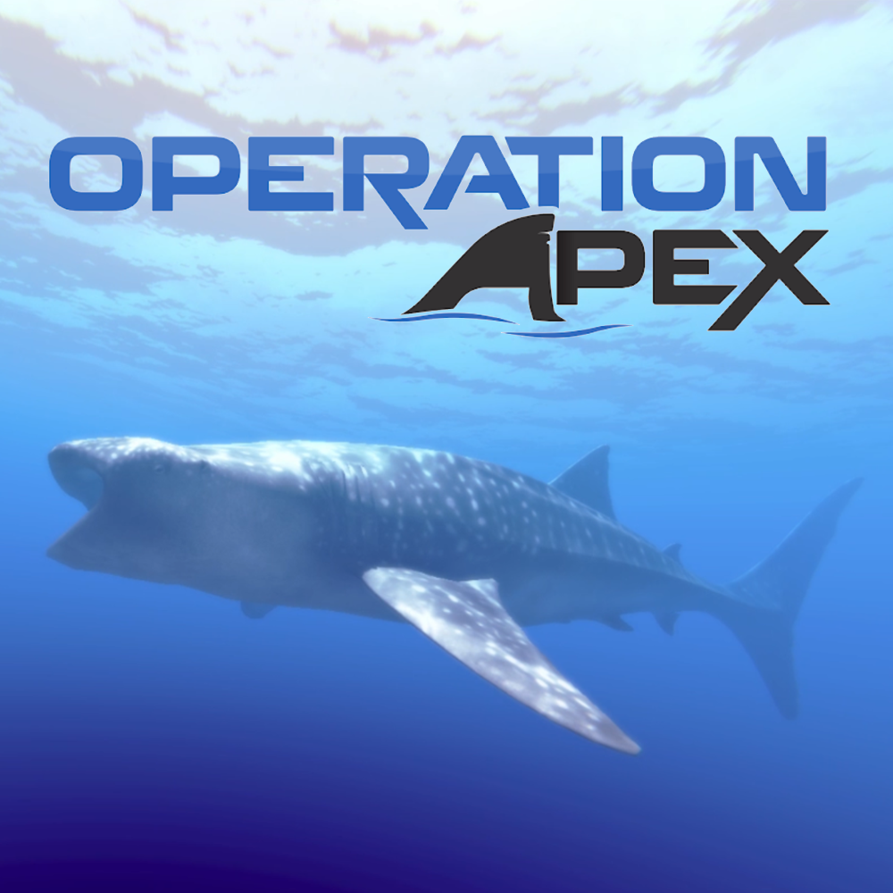 Apex_Logo.png
