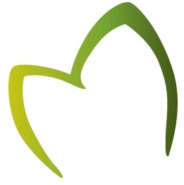 VGFD_favicon.gif