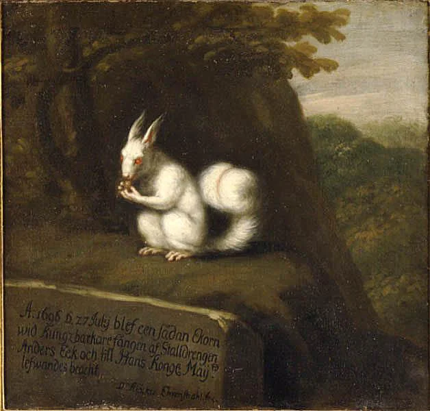 David Klöcker Ehrenstrahl, White Squirrel in a Landscape, 1696, Nationalmuseum, photographer Erik Cornelius.jpg