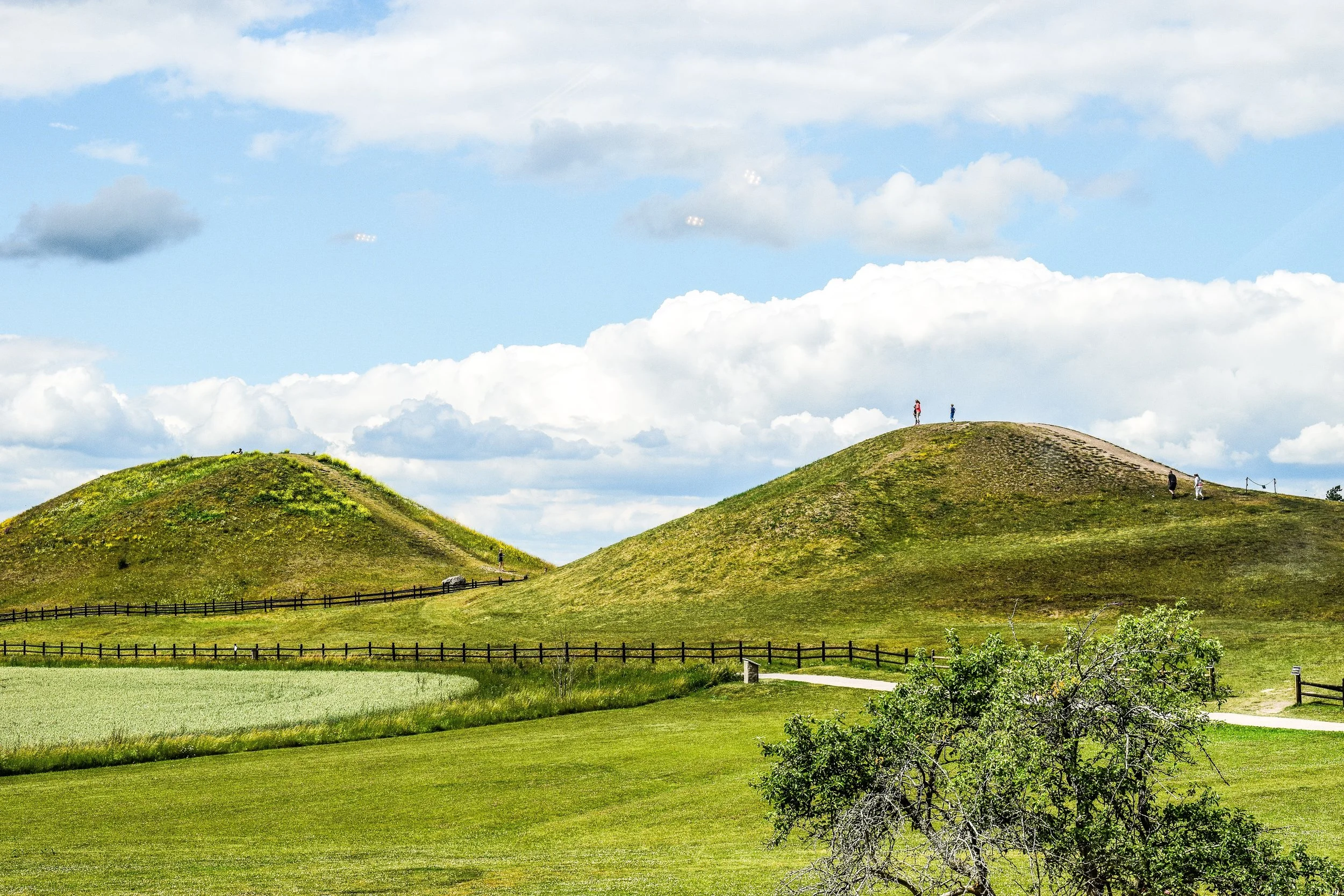 gamla_uppsala_kings_mounds_3.jpeg