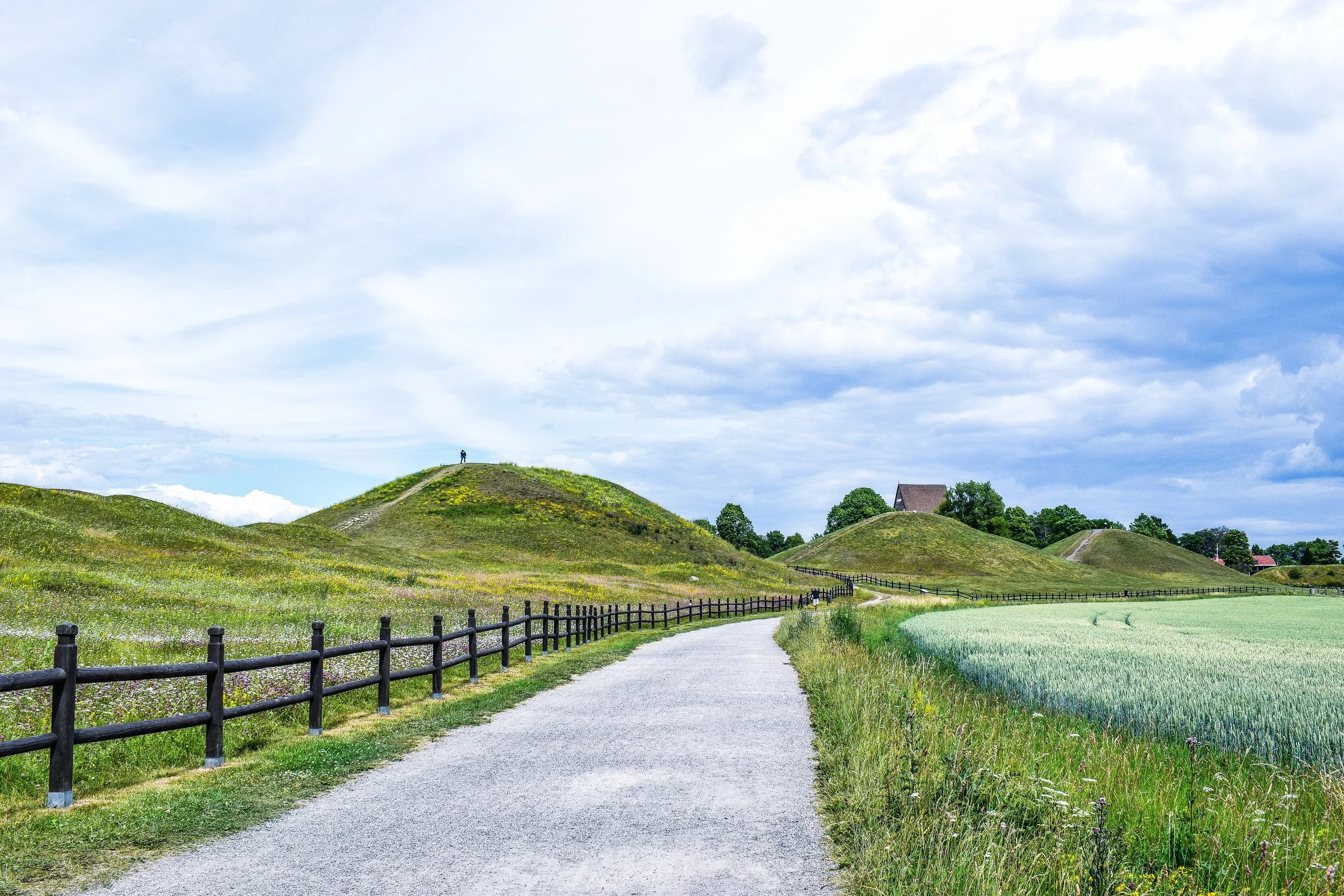 gamla_uppsala_kings_mounds2.jpeg