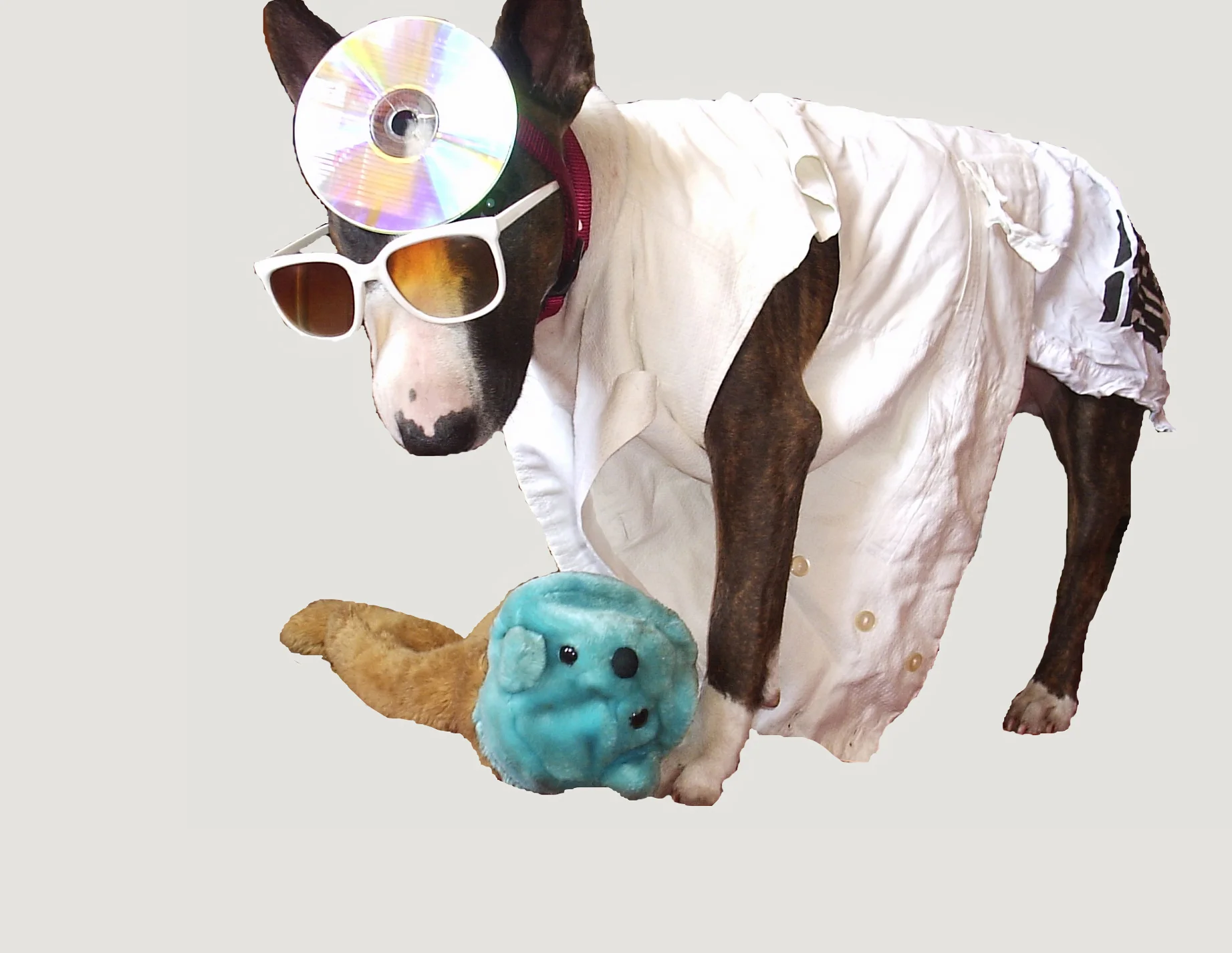 Nutty Professor of Weird Science