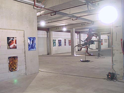 Picassa Gallery