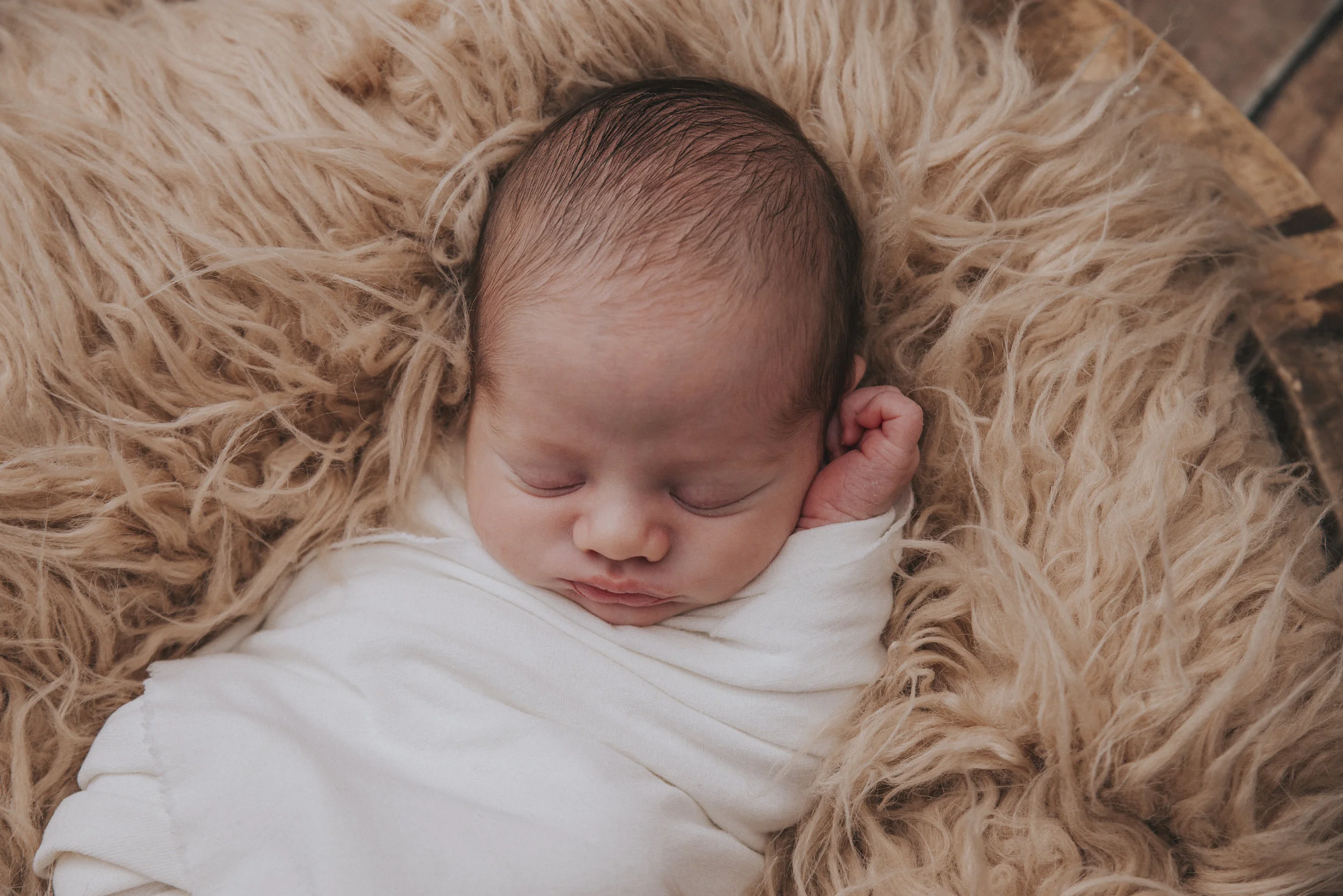 Teddy, this little bear is just gorgeous! Orange Baby Photographer