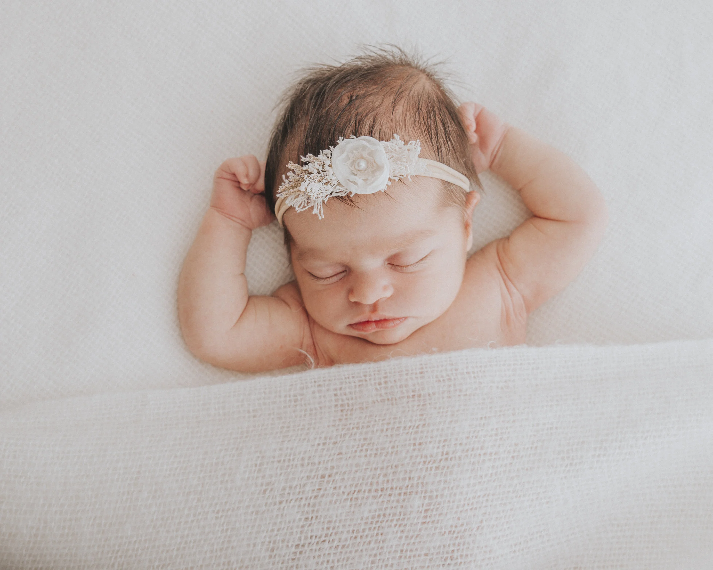 Baby Evita - Orange &amp; Bathurst Newborn Photographer