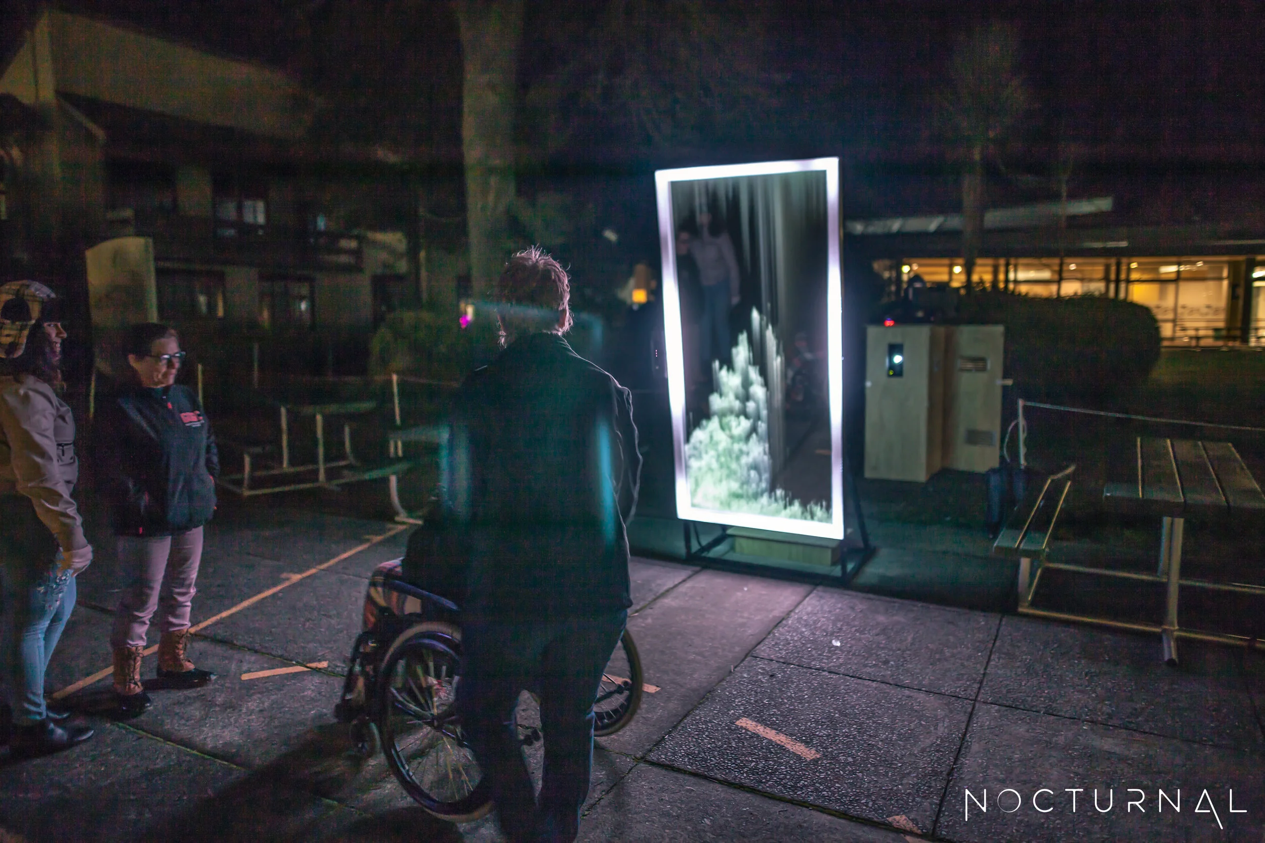 Reflection Perception_Light Nelson.jpg