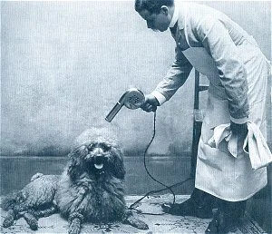 groomers in the past.jpeg