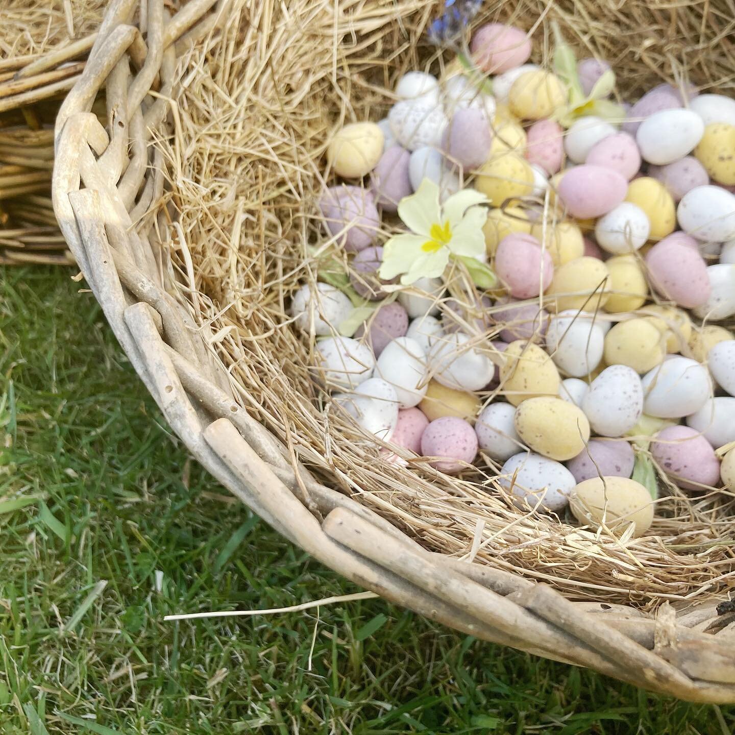 Happy Easter ☺️🙏🐣#easterholidays #northdevoncoast #springhassprung #upcottfarm #familyholidays
