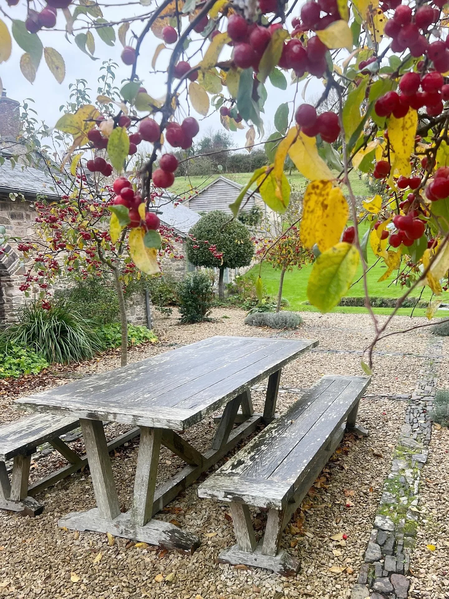 Despite the gloom there are still some gorgeous places to visit this autumn, from the wilds of Exmoor to a day trip to Exeter 🍂🍁#shortbreaks #familyholidays #northdevon #upcottfarm