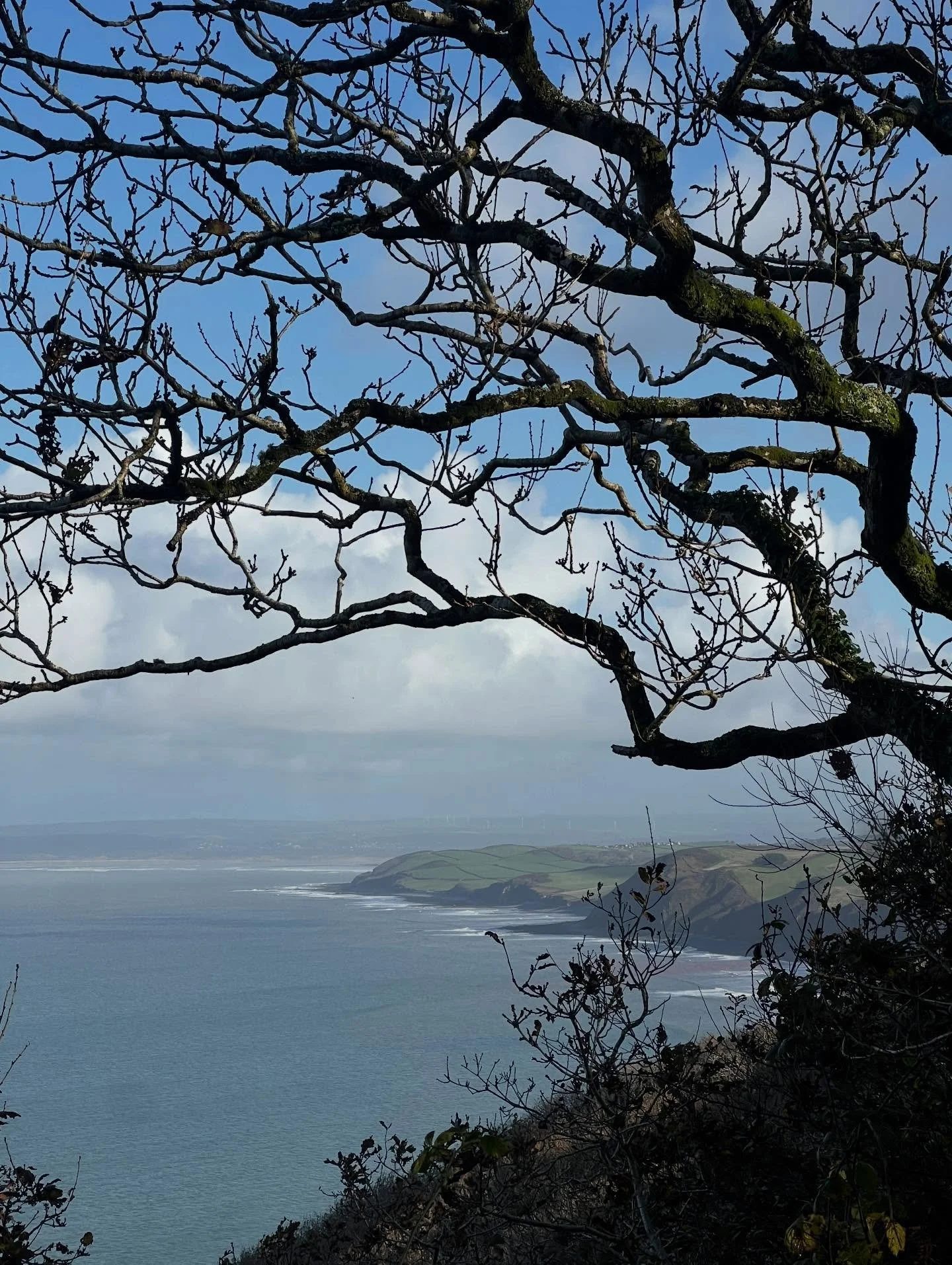 Perfect winter walk from Bucks Mills to Peppercombe and cosy lunch at The Farmers Arms @collectiveatwoolsery 🍂#winterbreaks #familyholidays #northdevoncoast #upcottfarm