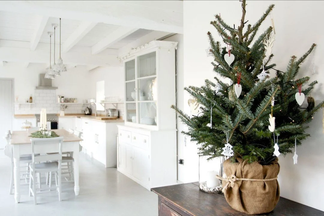 Upcott Farm Newsletter - Winter 2024