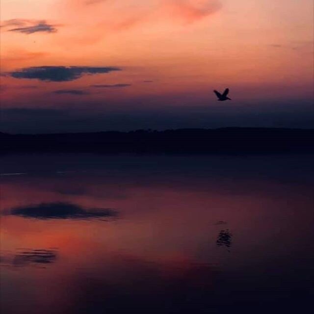 &quot;Walking, I am listening to a deeper way. Suddenly all my ancestors are behind me. Be still, they say, watch and listen. You are the result of the love of thousands.&quot;
-
Linda Hogan, Native American writer.
-
Love yall
Happy sunrises.
-
#loc
