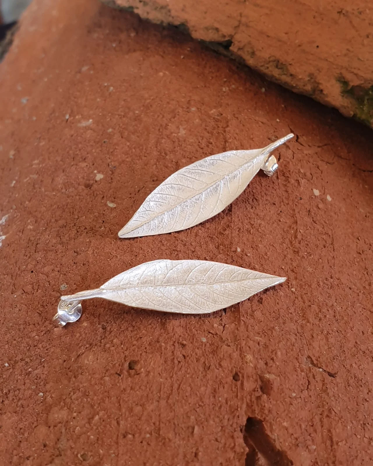 Arracades Alvocat de plata