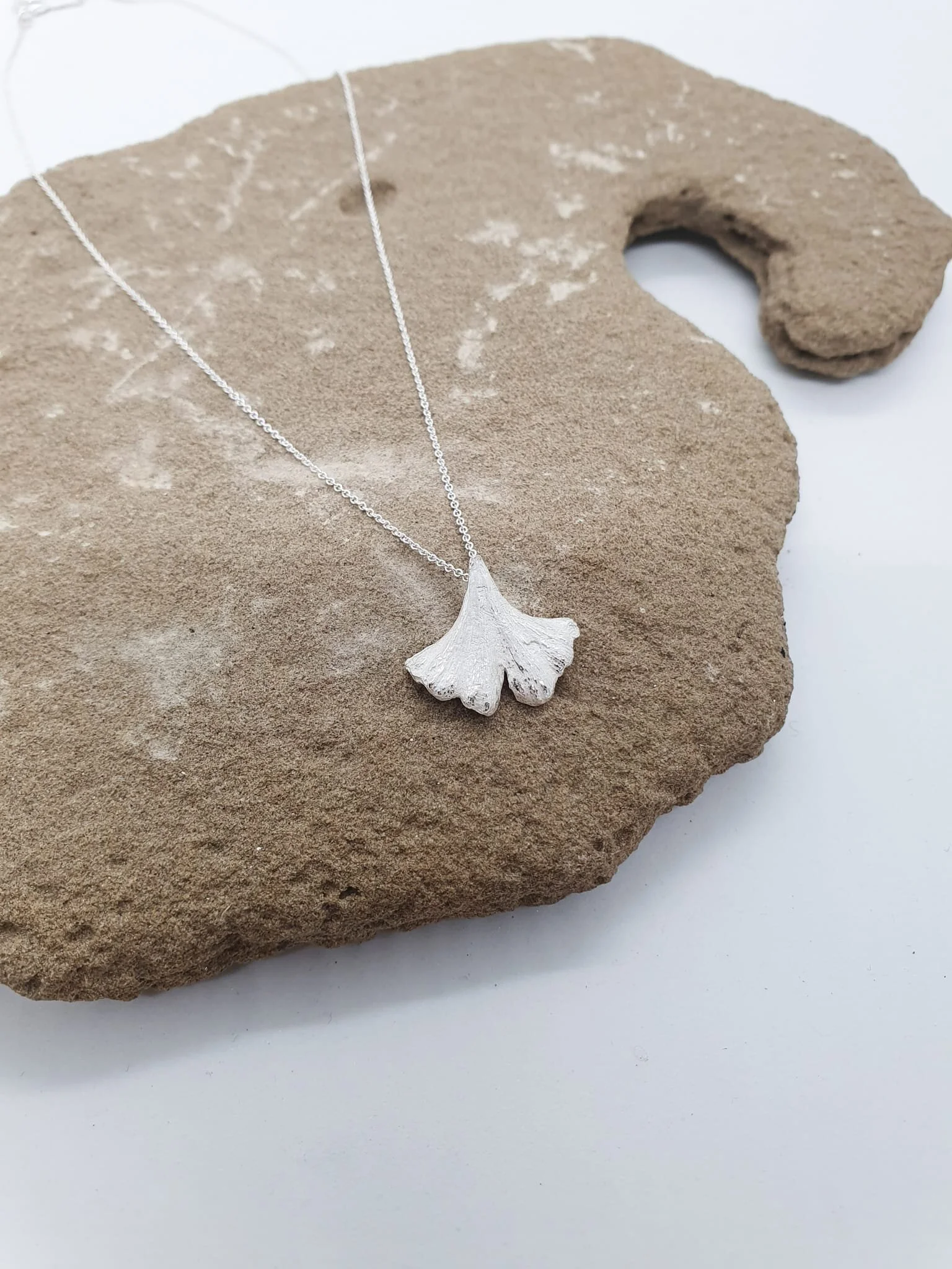 Penjoll Ginkgo petit