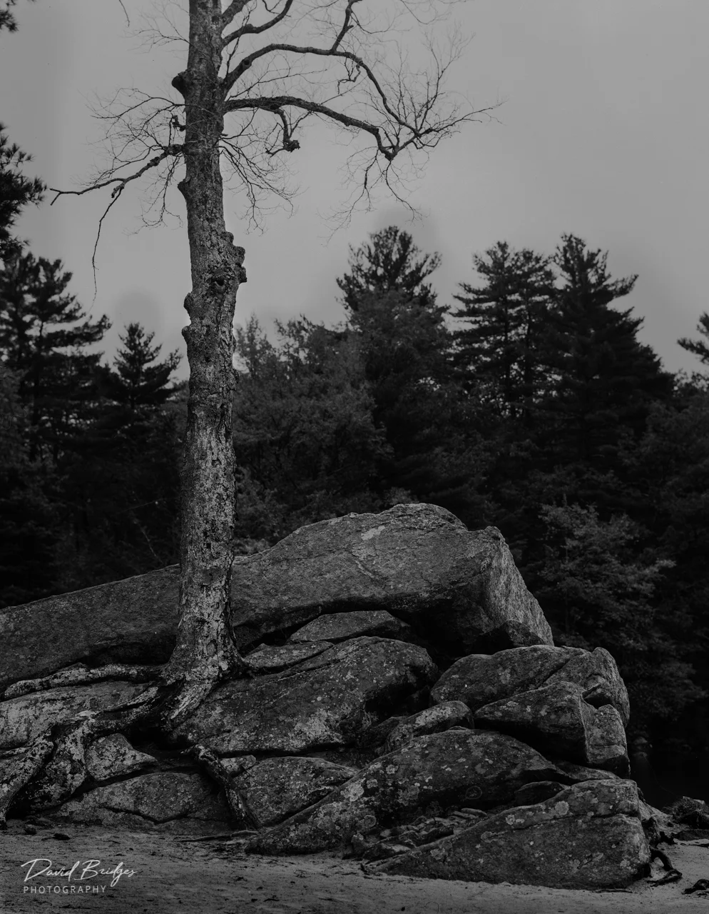 George Washington Campground, Gloster, RI, 2016