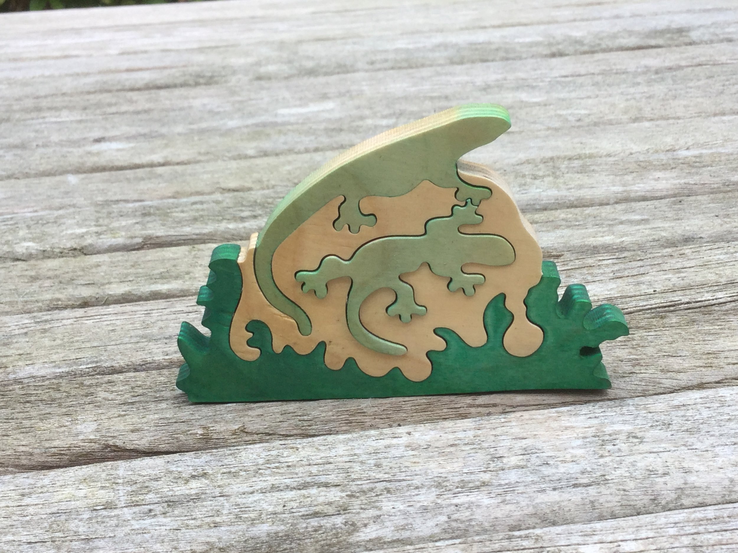 Lizards