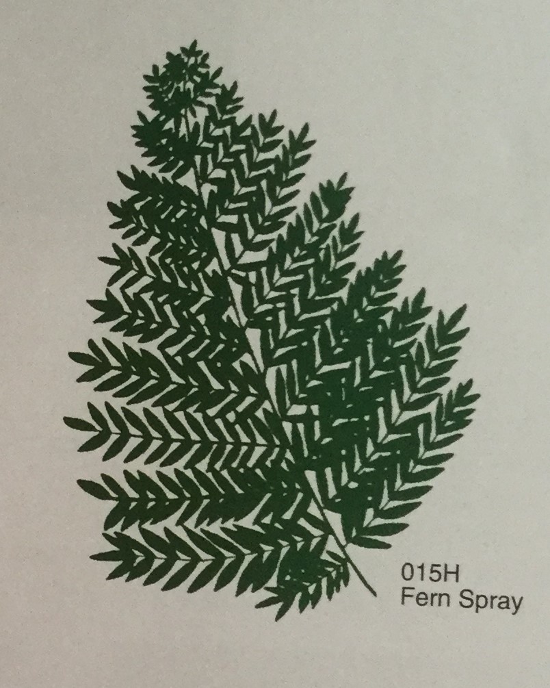 Fern Spray