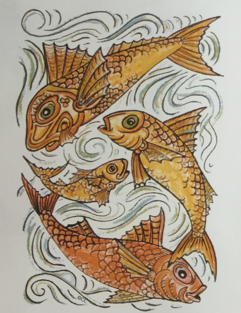 Flying Fish Border