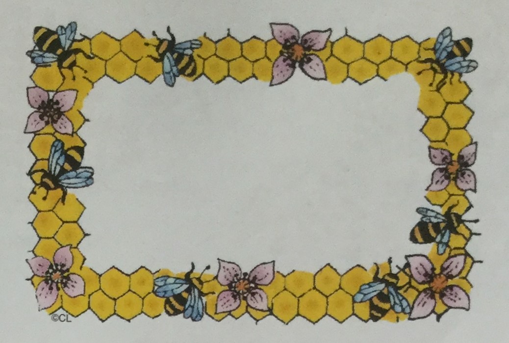 Honeycomb Border