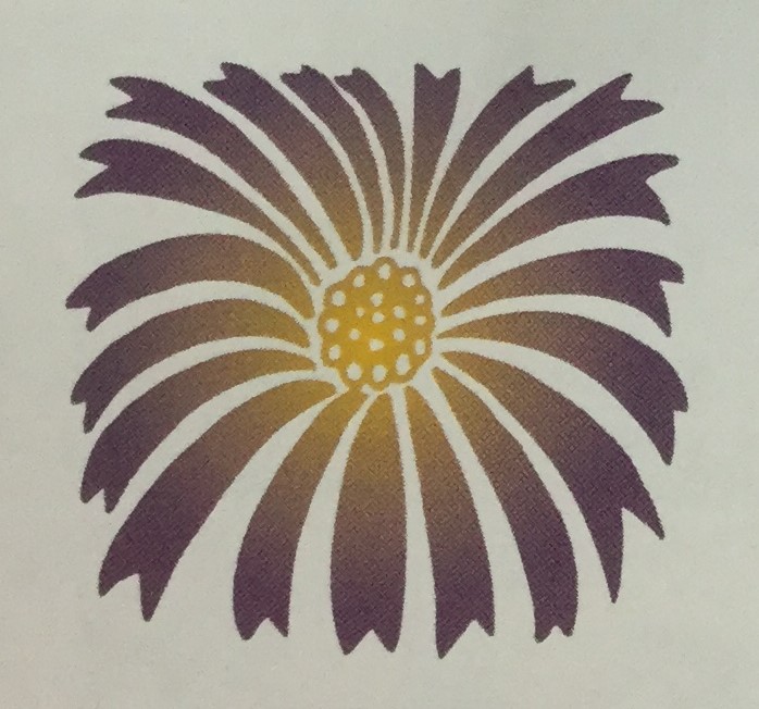 Large Michealmas Daisy