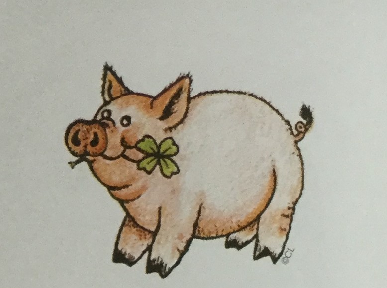 Lucky Pig