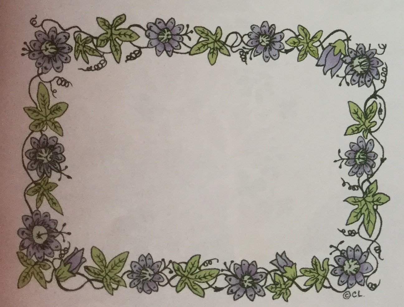 Passion Flower Border