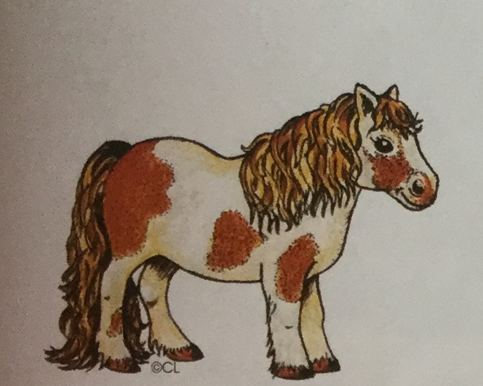 Shetland Pony