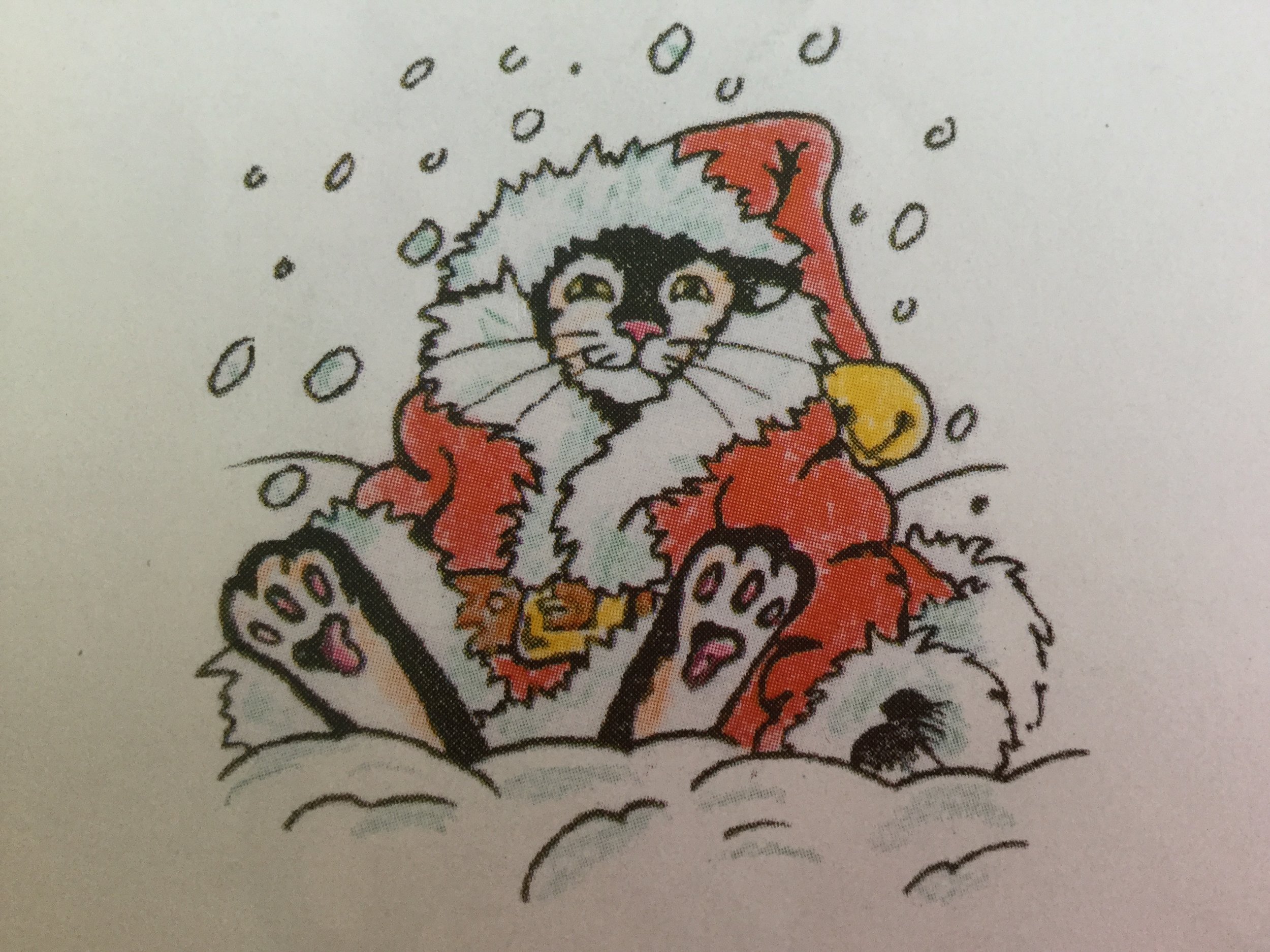Father Christmas Cat