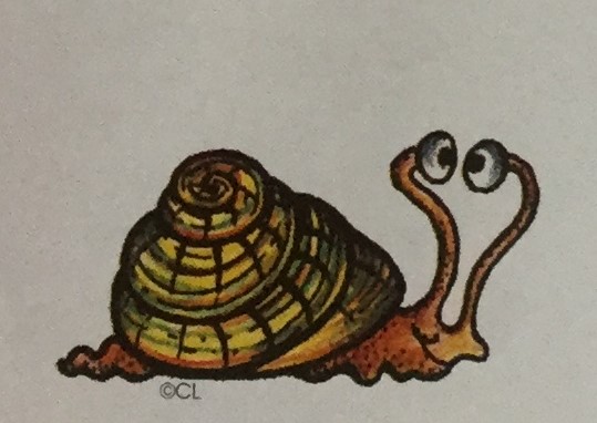 Snail