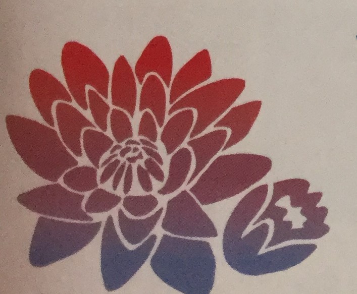 Water Lily