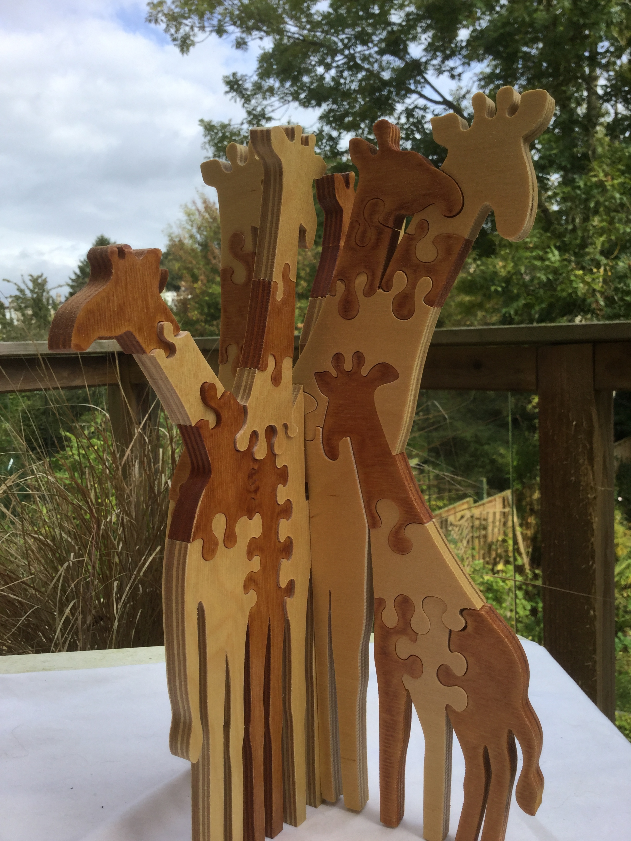 Giraffe Herd