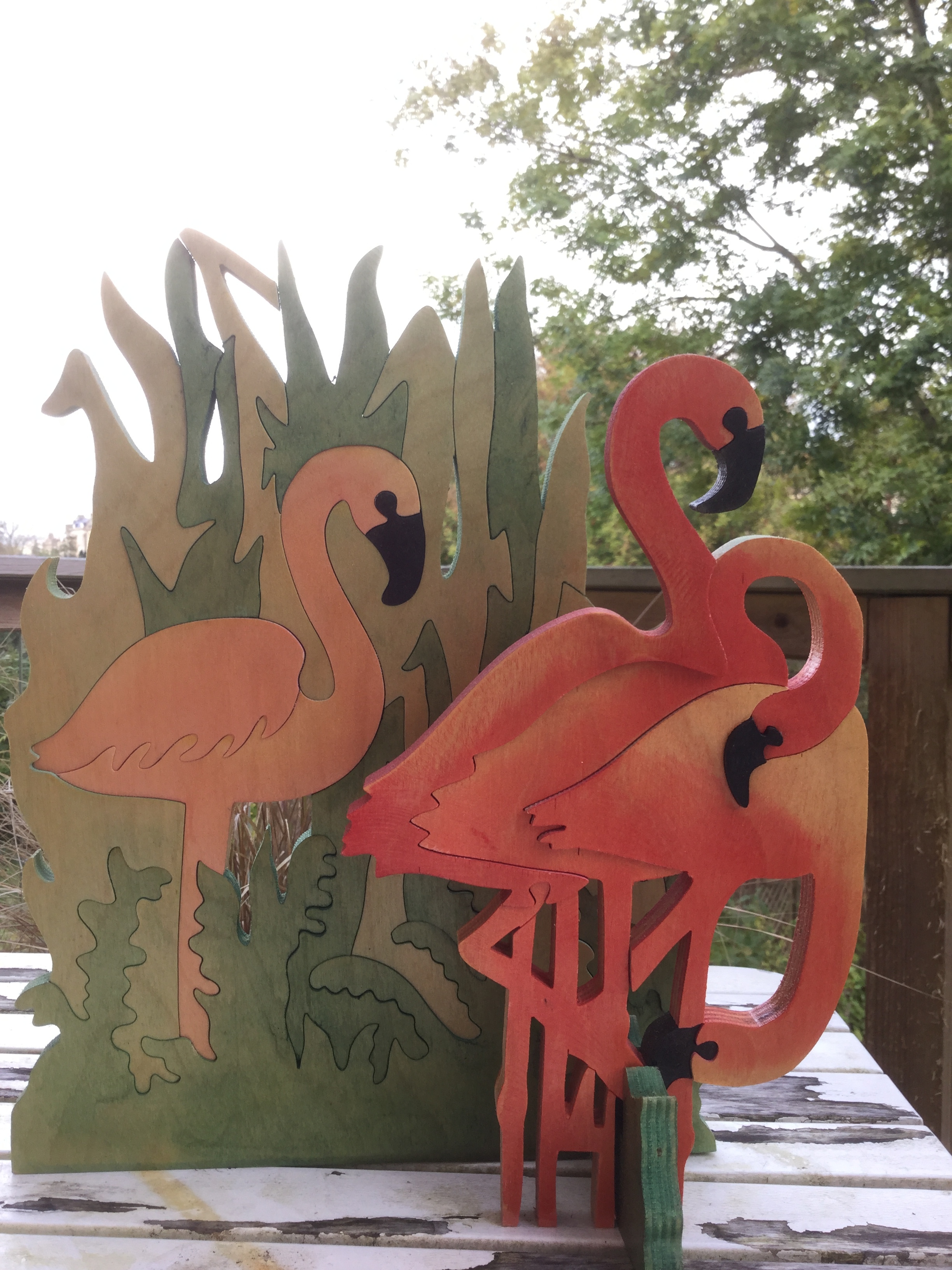 Flamingos