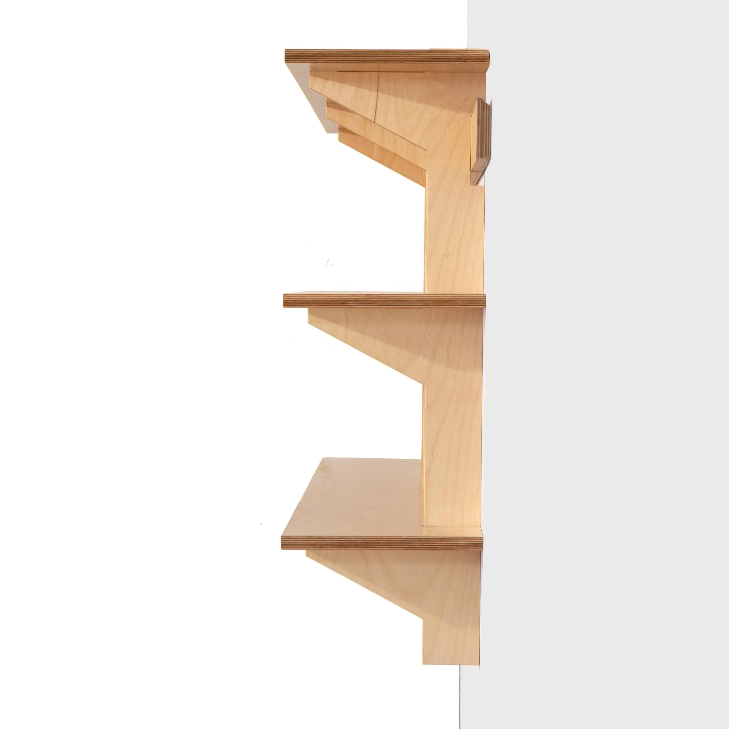 F2+Shelves+Wall+side+view_9184.jpg
