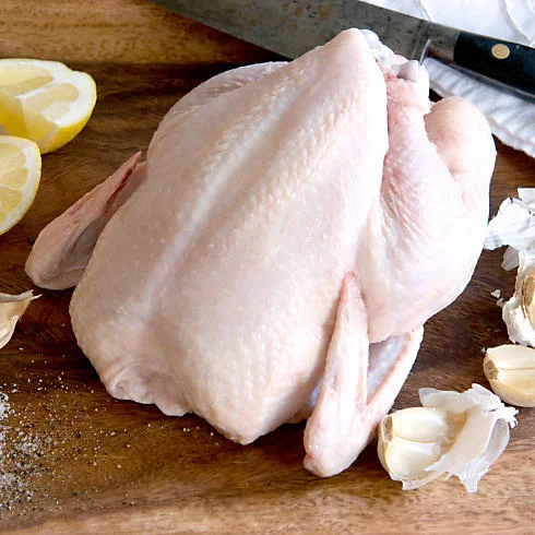 dart green circle chicken.jpg