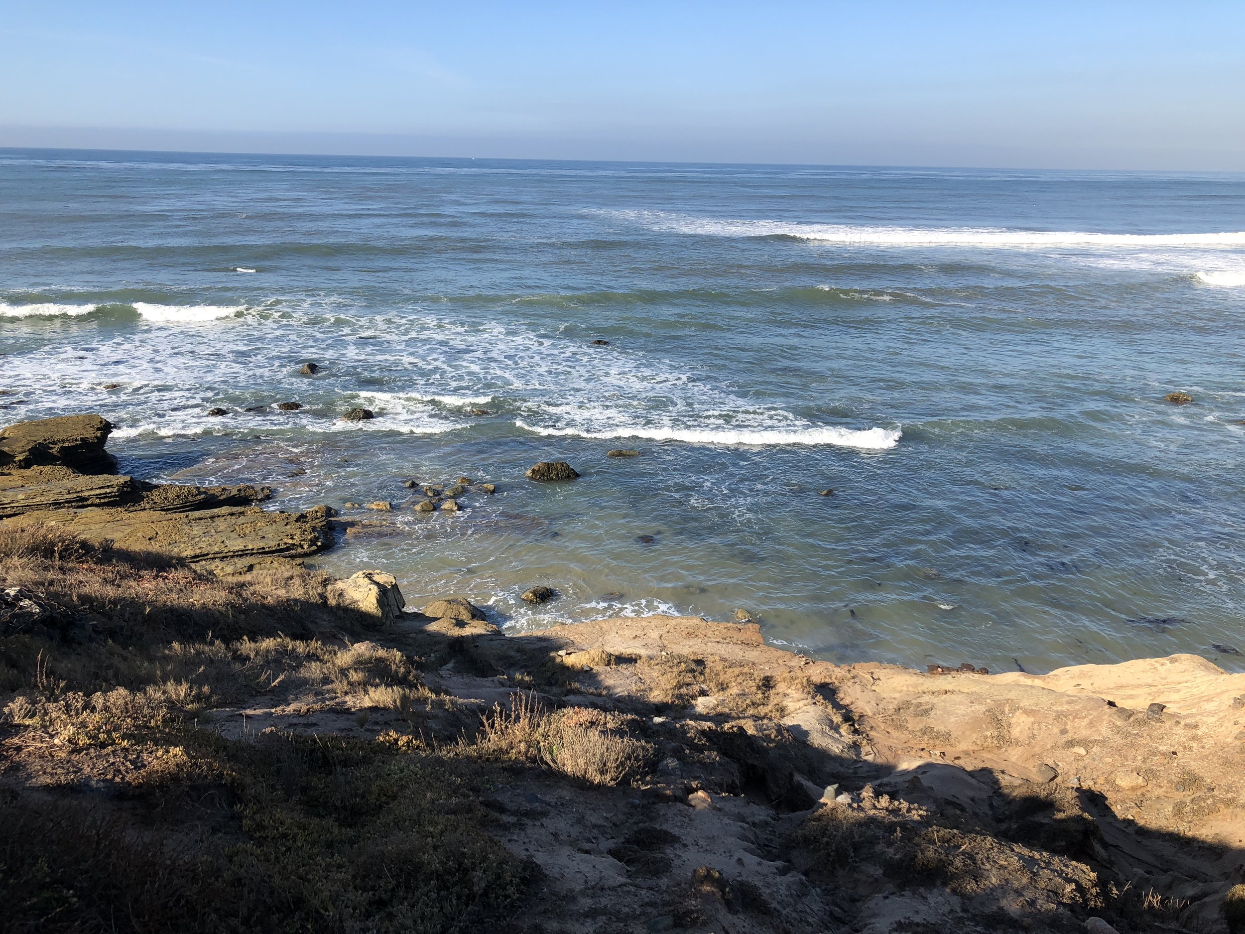 Point Loma tidepools