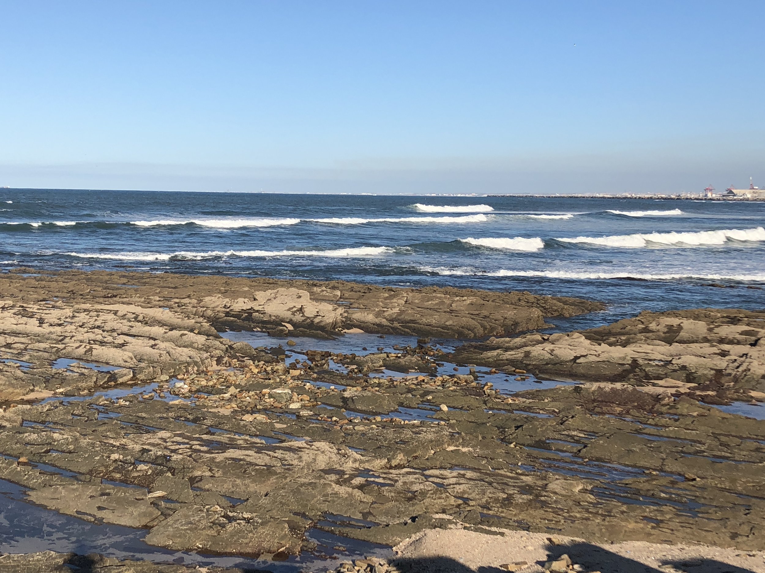  Rocks and tidepools below Phare El Hank, Casablanca. 