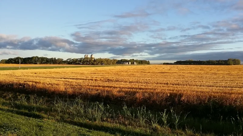 A beautiful Manitoba morning.