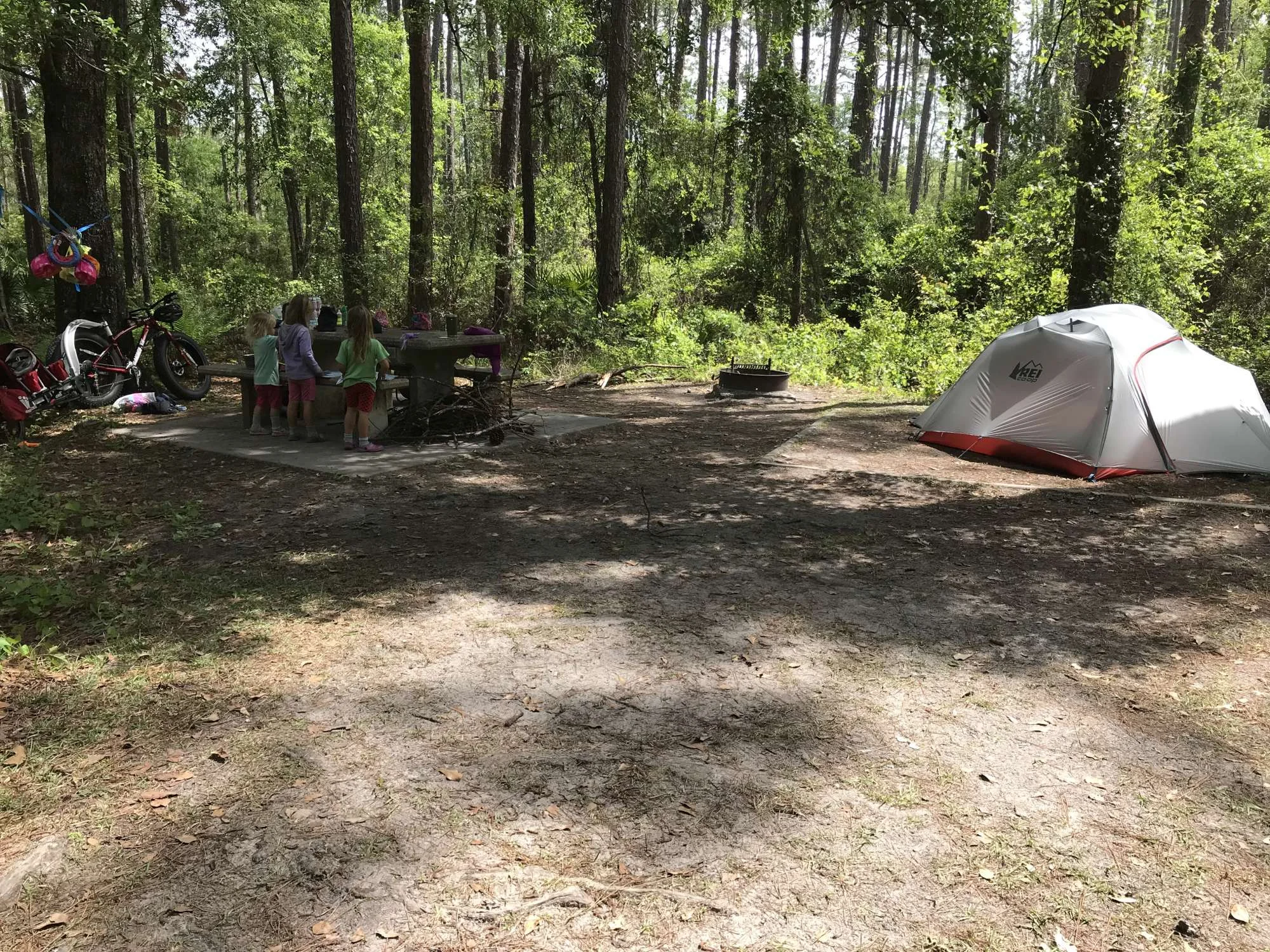 We lived through several big thunderstorms camping during our week at Osceola!