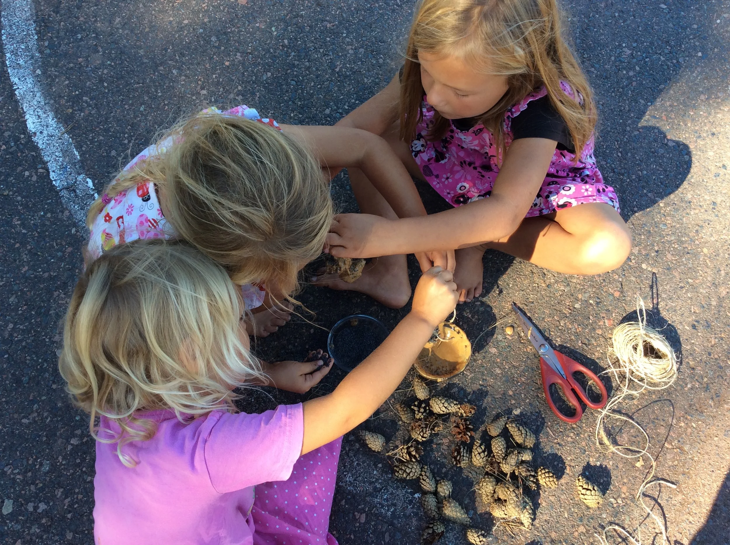 Creating a snack for the birds.