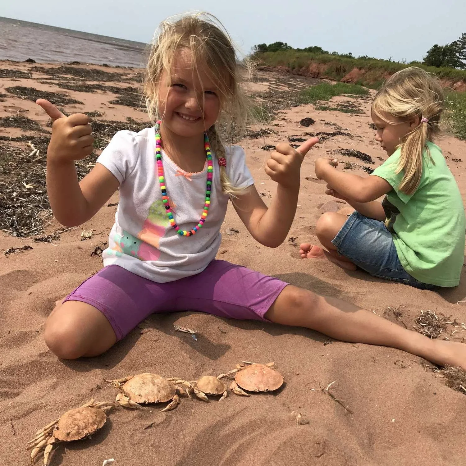 The girls are great at collecting things, using their imaginations, and playing with things they find around them. They love to be out discovering for themselves all the wonders of God’s creation!