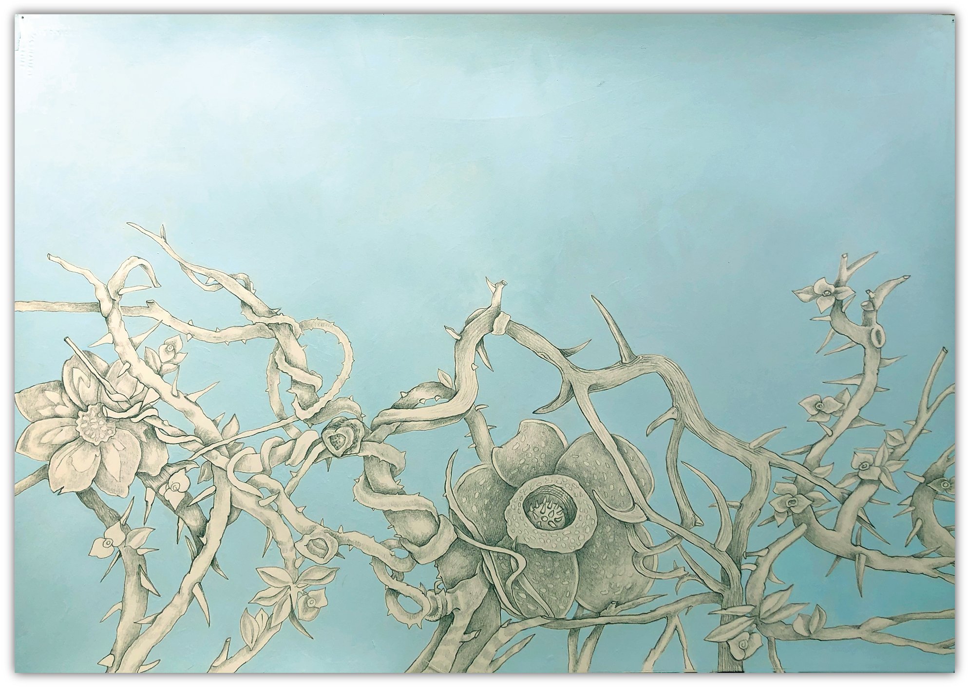 4.  Thorns &amp; Sky | 28" x 40" | Acrylic &amp; Pencil on Arches Paper