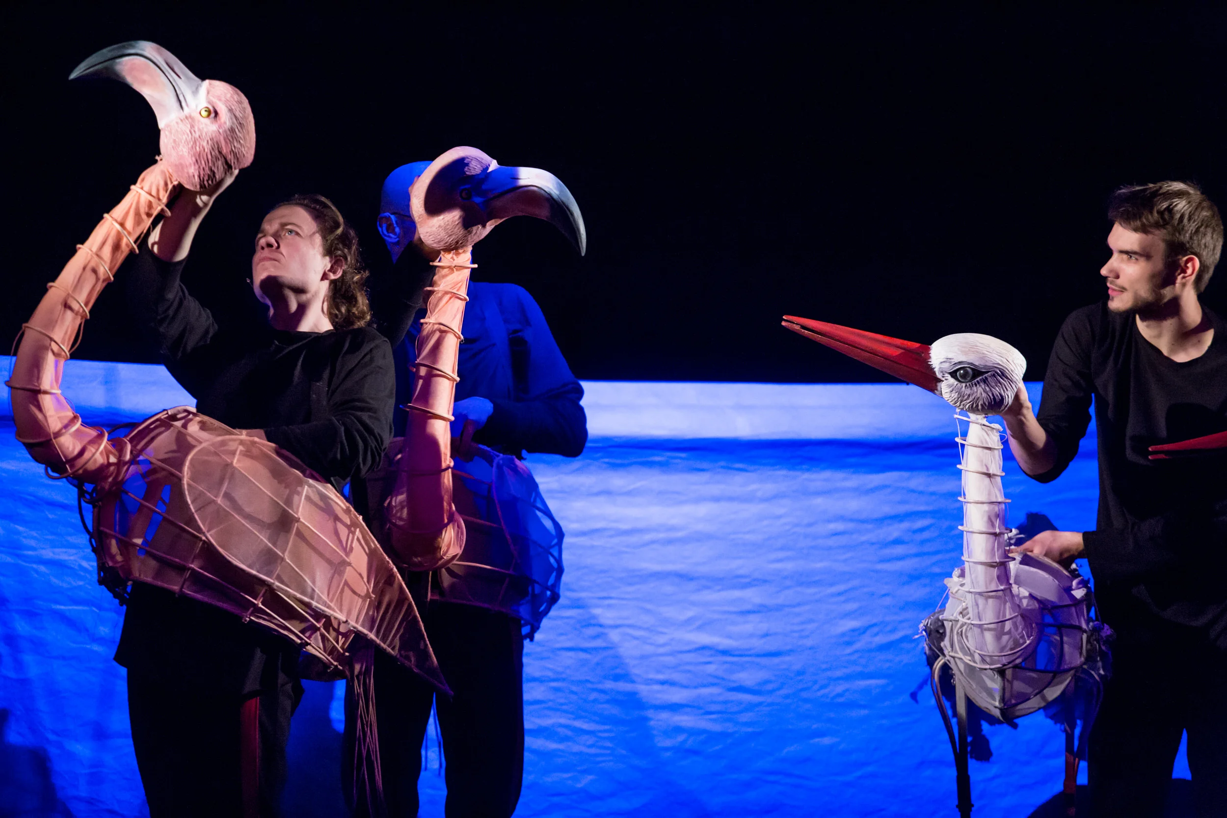 Flamingo and Nanji.JPG