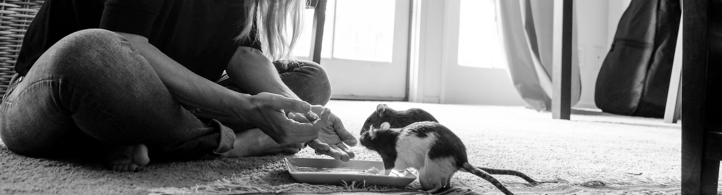 Carla Animals First-26.JPG