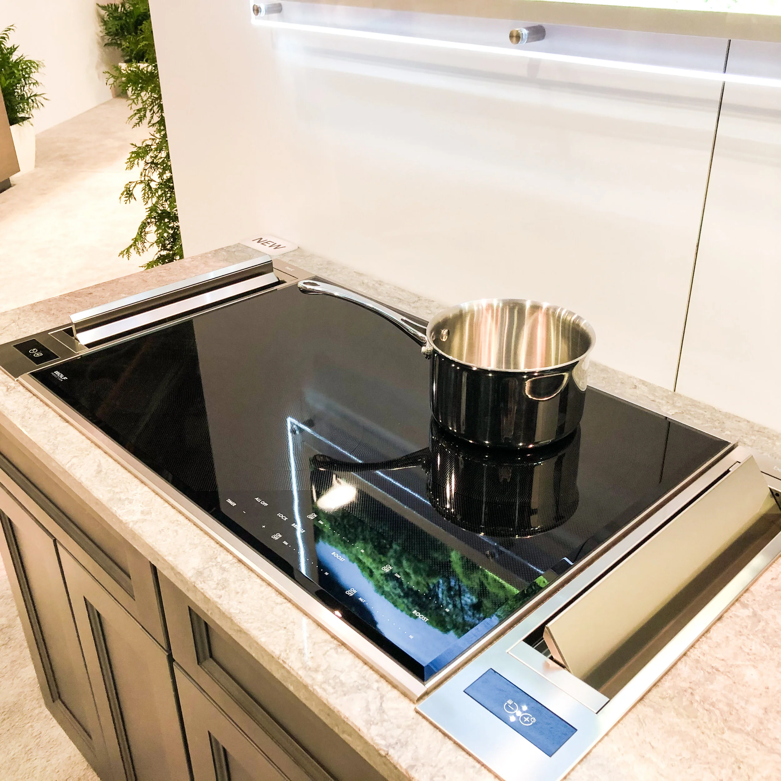 induction stove with downdraft