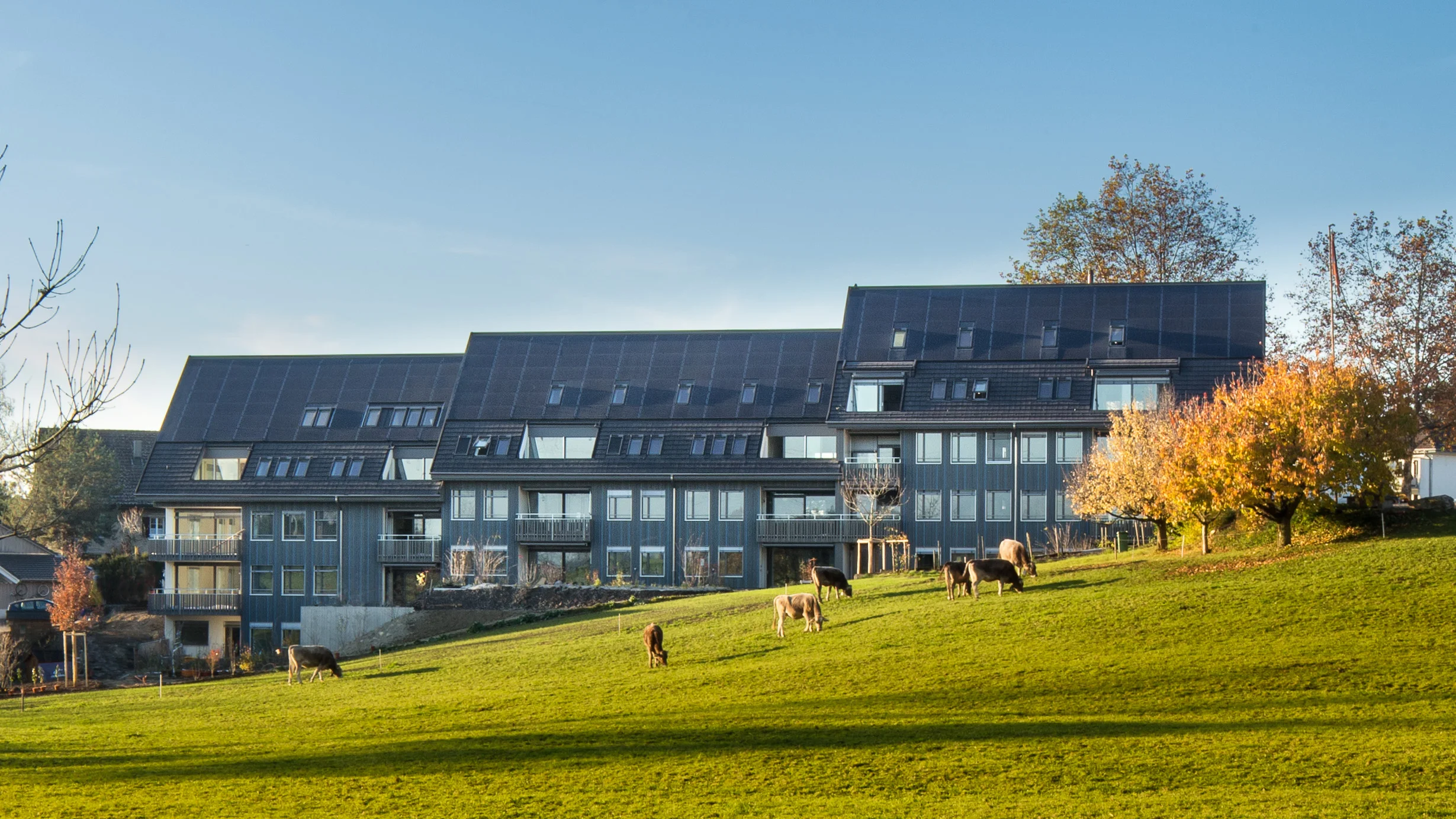 Nachfamiliäres Wohnen, Lindenbach, Obfelden