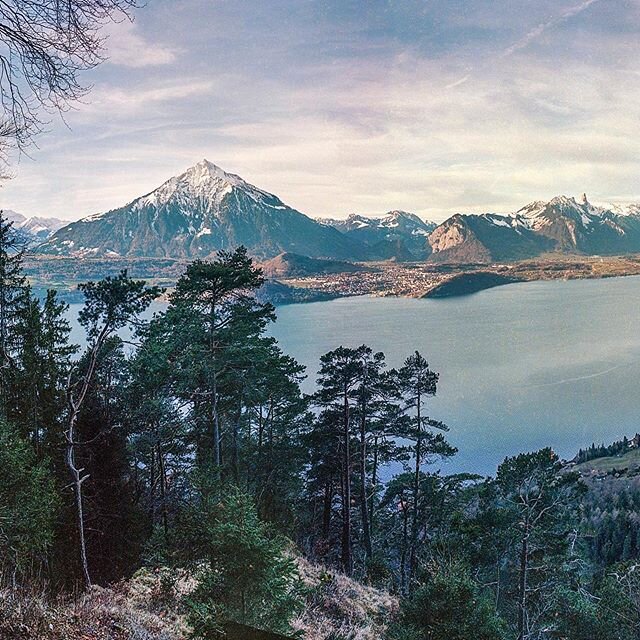 shot with my analog medium format camera, Mamiya 645 on film Kodak Ektar 100, Niesen and Lake of Thun, Switzerland
