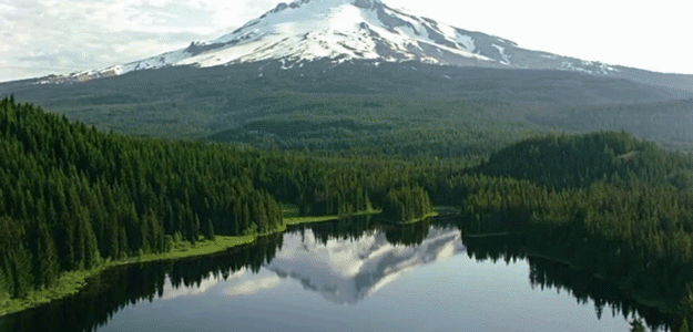 Untitleddesign-ezgif.com-video-to-gif-converter.gif