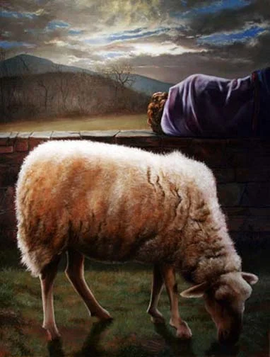 04_sheep_gallery15.jpg