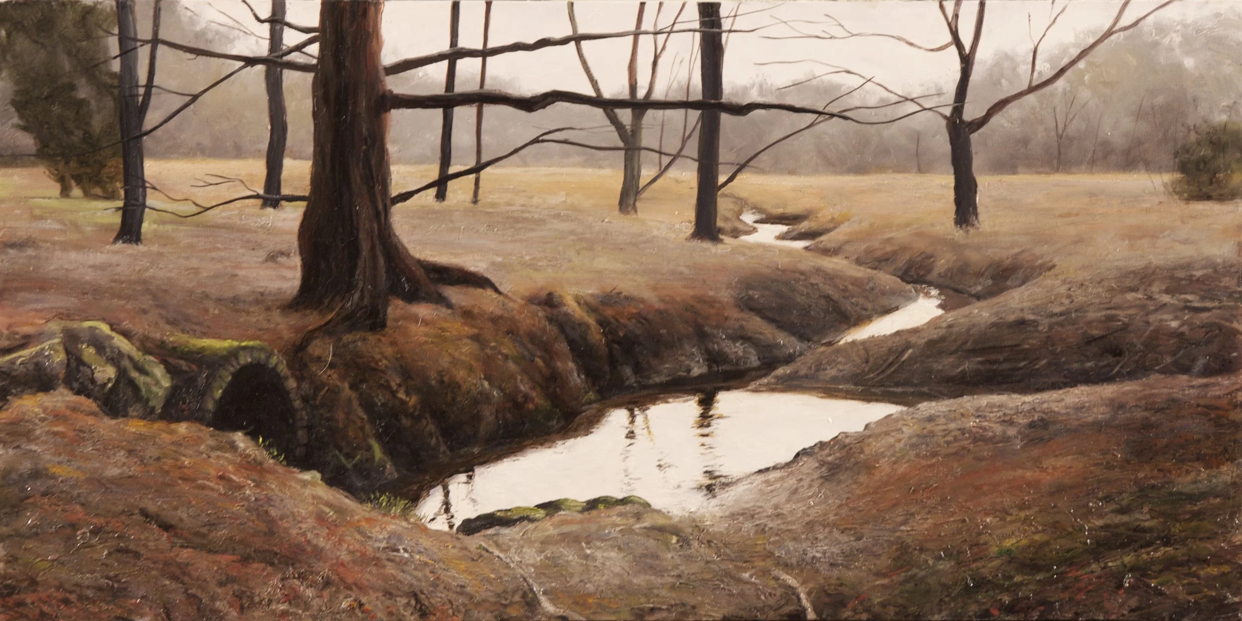 landscapereflection.jpg