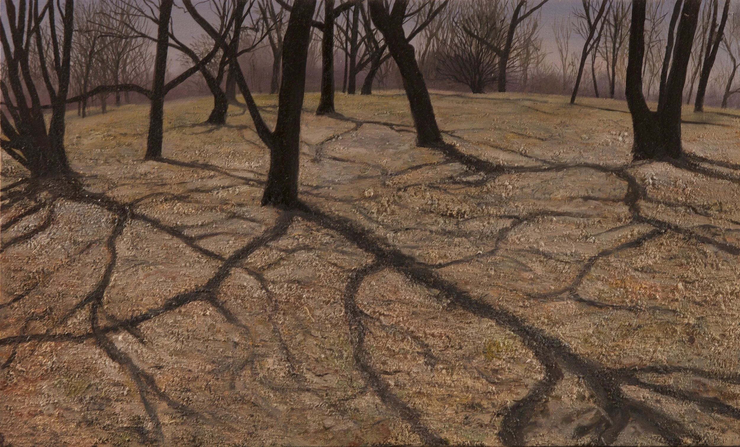 Shadowyground copy.jpg